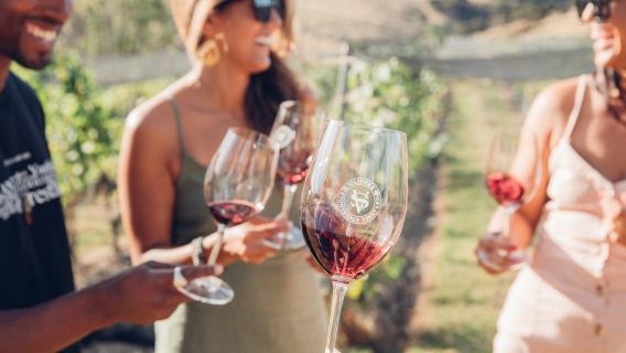 Waiheke Island: Afternoon Wine Tour with Oceanfront Lunch