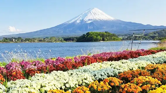 9人小團・富士雙湖Kaba Bus 山中湖 水陸兩用巴士一日遊丨可選飯店接駁+中文服務