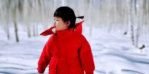 漠河+龍江第一灣+白樺林+北紅村+北極村一日遊【獨立包車】