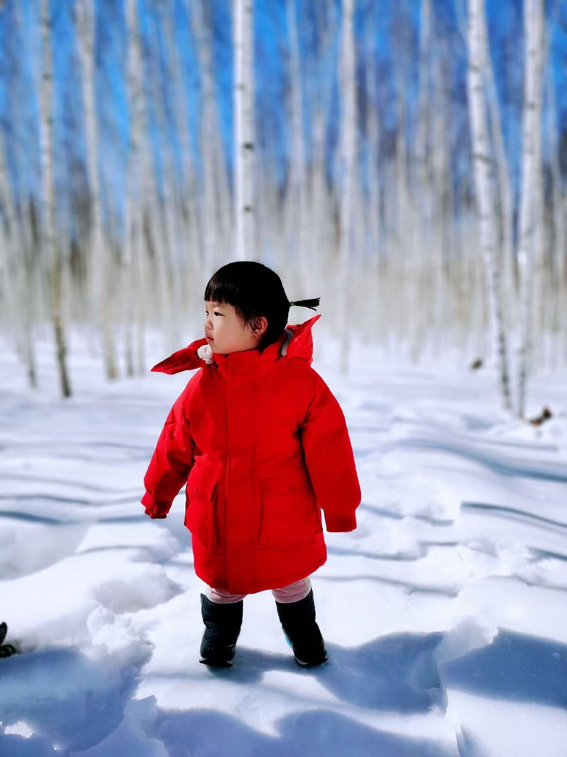漠河+龍江第一灣+白樺林+北紅村+北極村一日遊【獨立包車】