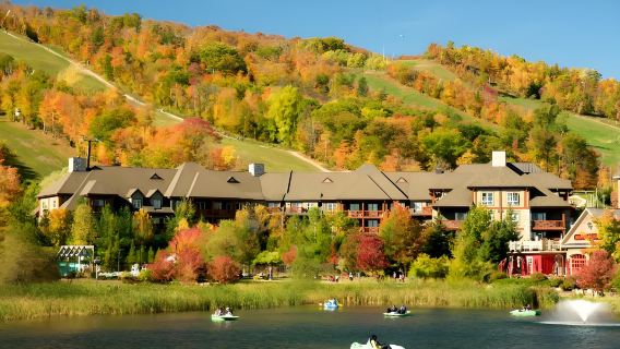 多倫多包車一日遊：科林伍德漫遊+藍山小鎮全體驗【私家定制】