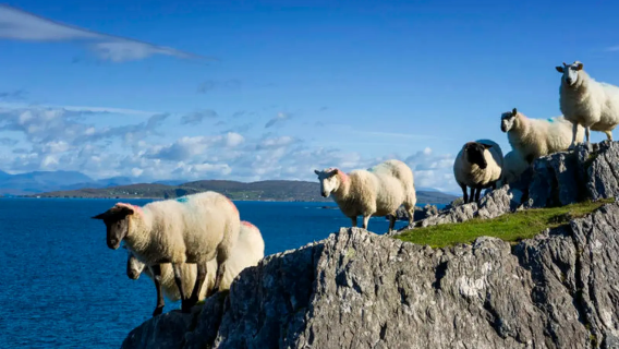 Dublin join-in tour + Cliffs of Moher + Burren + Galway + Dublin Atlantic Way