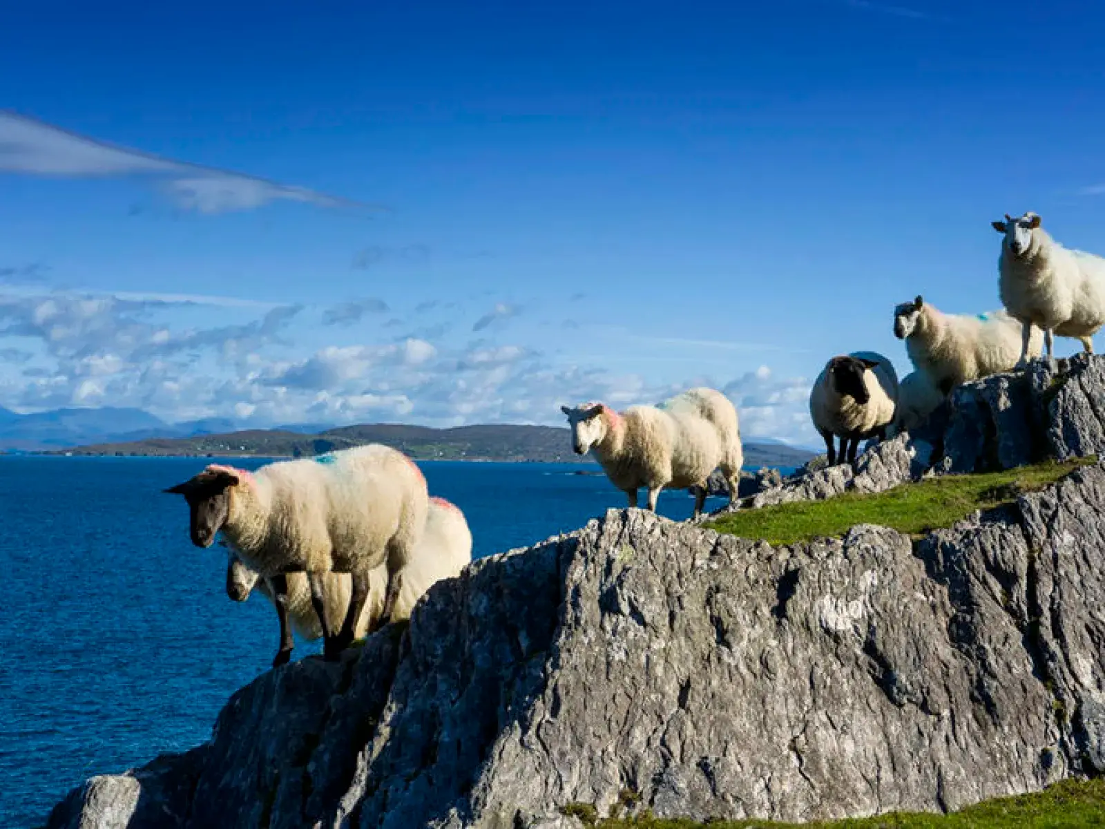 [ทัวร์แบบกรุ๊ปรวมดับลิน] +หน้าผาโมเฮอร์+เบอร์เรน+กอลเวย์+ถนนแอตแลนติกดับลิน