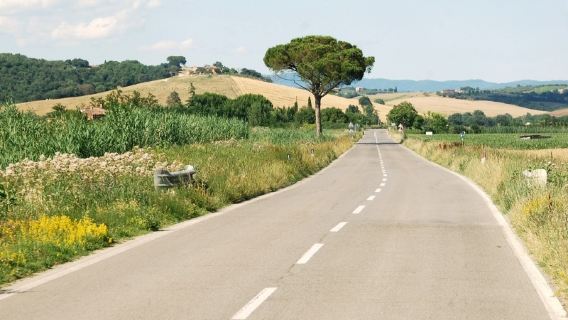 Fiumicino to Tuscany transfer