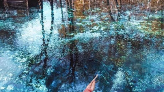 奧蘭多出發+吉尼清泉Ginnie Springs【中文司機】