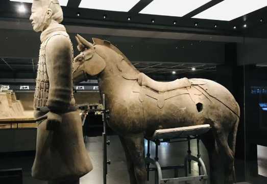 Xi'an 1-day tour: Emperor Qinshihuang's Mausoleum Site Museum + Lishan Garden + Terracotta Figure Making with 5-seat vehicle and...