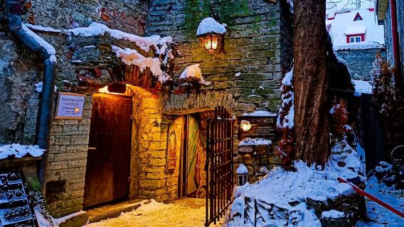 Tallinn Tales: City Highlights Guided Walking Tour