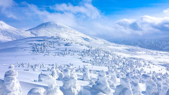 青森秘境・隠れた名所ワンデーツアー<奥入瀬渓流+八甲田山+十和田湖> (貸切チャーター可)