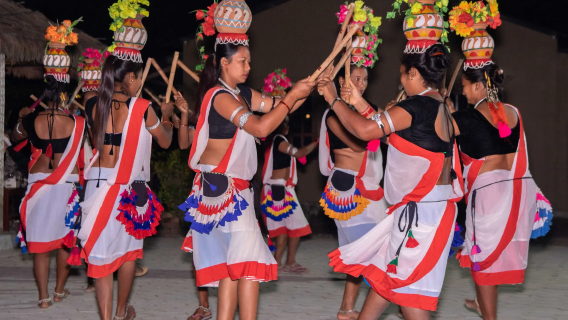 2 晚 3 天奇旺國家公園全包式套裝行程－從加德滿都/波卡拉出發