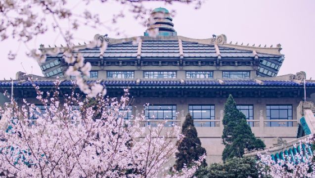 Half-Day Tour of Wuhan University (Luojia Mountain Area) in Hubei [In-Depth Exploration of a Century-Old Institution]