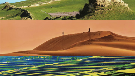 Yinchuan, Ningxia • Traducción profesional • Guía certificado • Acompañante local • Senderismo/Guía turístico/Viajes de negocios/Acompañamiento turístico/Visita guiada con explicaciones de cultura e historia