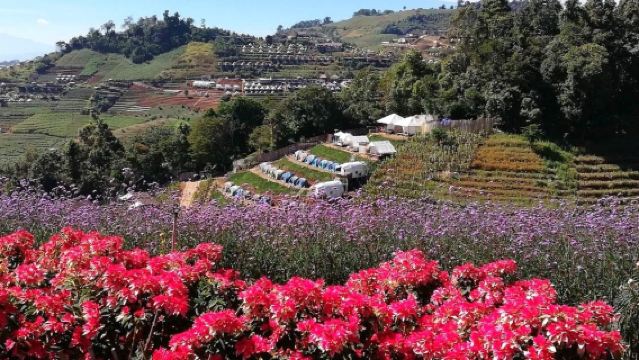 泰國清邁綿羊牧場+蒙佔山天空步道+清邁老虎園中文包車一日遊