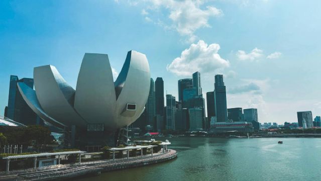 Singapore Arrival Card Filling Service · Customs Declaration Assistance