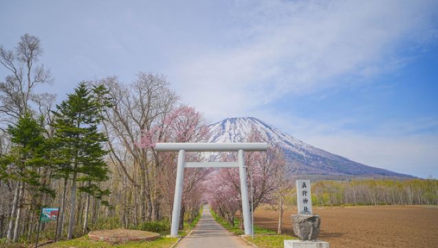 Hokkaido Date Jidaimura & Makkari Village Day Tour with Meisui Park – Enjoy the Stunning Views of Mt. Yotei