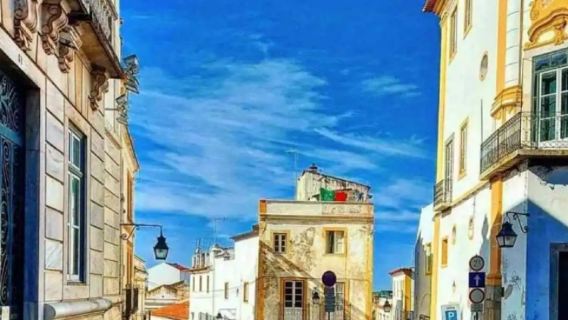 From Lisbon: private charter day tour to Portuguese coastal twin towns - Obidos Village and Nazare