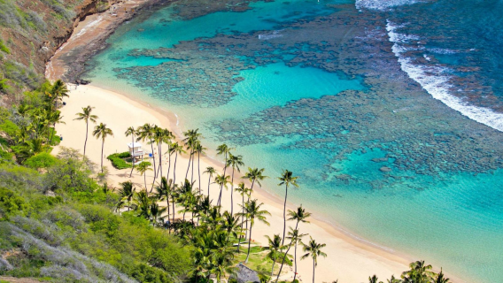 1 Günlük İngilizce Rehberli Phu Quoc Şnorkel ve Balık Turu: Xuong/Gam Ghi Adası, May Rut Trong Adası