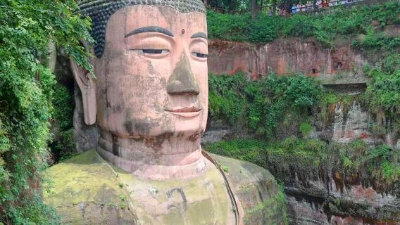 Dagstur till Chengdus forskningsbas för jättepandor och Leshans stora Buddha - valfri guidad tur vid pandabasen