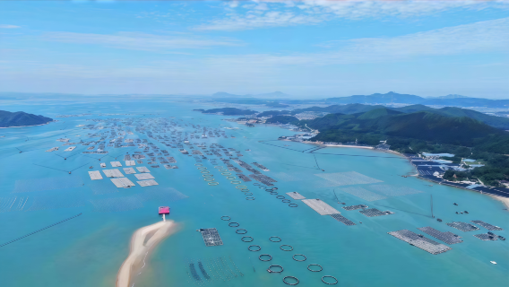 漳州東山島·魚排釣魚體驗·親子情侶家庭自由行（包魚竿魚餌+拉蟹籠+休閒放鬆歎茶）