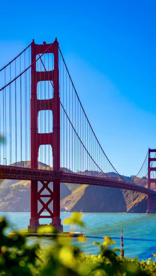 Round-trip from San Francisco: 1-day tour to Muir Woods National Monument [premium small group - English-speaking group]