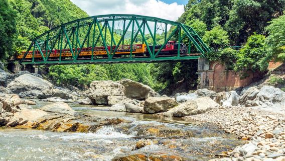 Von Osaka/Kyoto: Tagesausflug mit der Sagano-Bahn, Bootsfahrt auf dem Hozugawa-Fluss und Arashiyama [Optionales Paket]