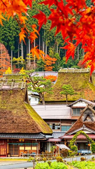 京都天橋立+伊根舟屋+美山かやぶきの里 定番ワンデーツアー【三景秘境】