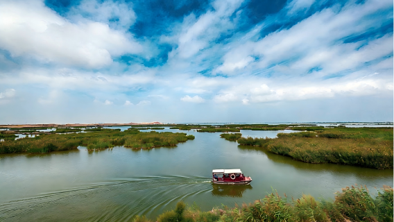 Yinchuan lawatan sehari|Yinchuan ke Tasik Pasir + Lembah Air Gua termasuk tiket masuk perkhidmatan hantar-jemput hotel pakej kecil