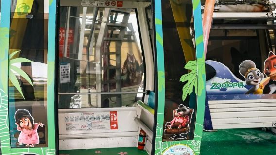 Taipeh Maokong Gondel: 1-Tages-Pass + 1 lokale Aktivität nach Wahl
