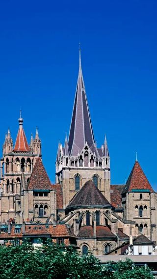 1-day tour in Lausanne | Lausanne Cathedral + Musée de l'Elysée + Lausanne-Ouchy + Olympic Park※