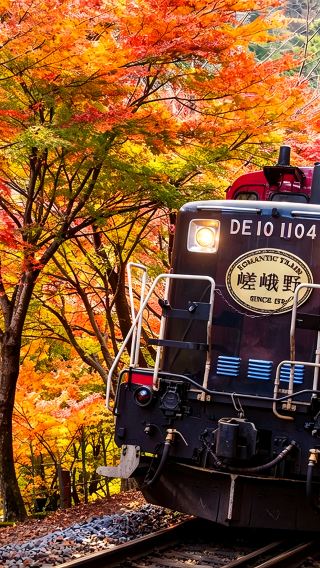 Kyoto Arashiyama Sagano Romantic Train + Hozugawa River Boat Ride (Hozugawa Kudari) + Arashiyama City Walk 1-day Tour