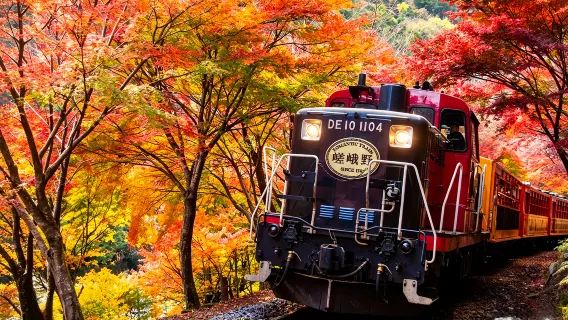 Tour di un giorno a Kyoto con il treno panoramico Sagano di Arashiyama, Hozugawa River Boat Ride (Hozugawa Kudari) e passeggiata nella città di Arashiyama