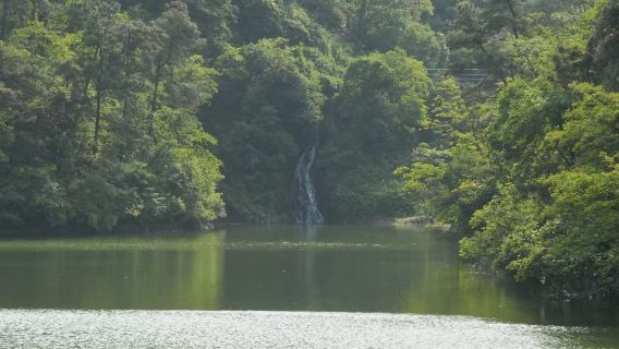 Mao Zedong's Former Residence in Shaoshan Tourist Area + Dishui cave + Liu Shaoqi's Hometown 1-day activity