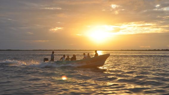Exclusive Full-Day Nature Expedition in Sian Ka'an