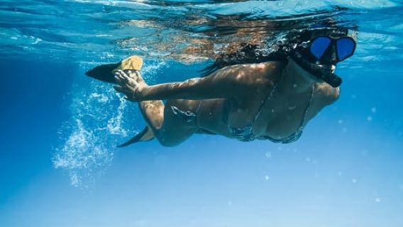 Wailea: Turtle Town Snorkeling Trip with Photo and Video