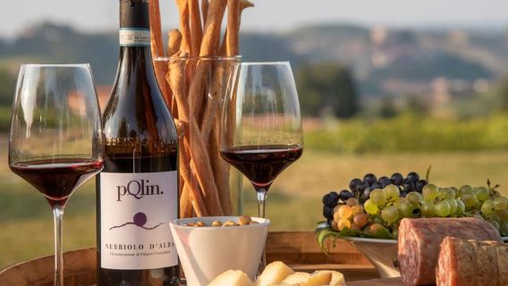 Wine Tasting and Food Pairings in Langhe and near Alba