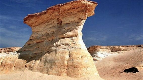 DohaTours