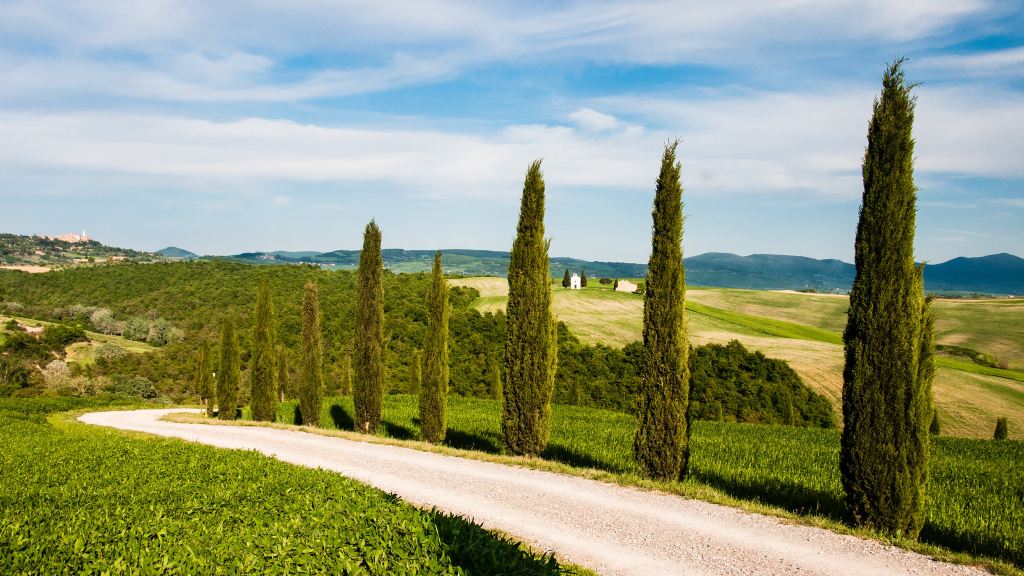 義大利佛羅倫斯錫耶納皮恩扎奧爾恰穀一日遊托斯卡尼中文包車