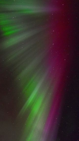 Tromso aurora chasing tour by vehicle for 4–10 hrs (multiple packages)