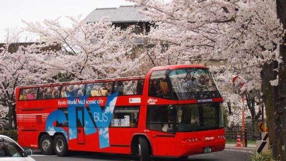 Билет на экскурсионный автобус Sky Hop Bus в Киото с возможностью выхода и посадки (1 день / 2 дня)