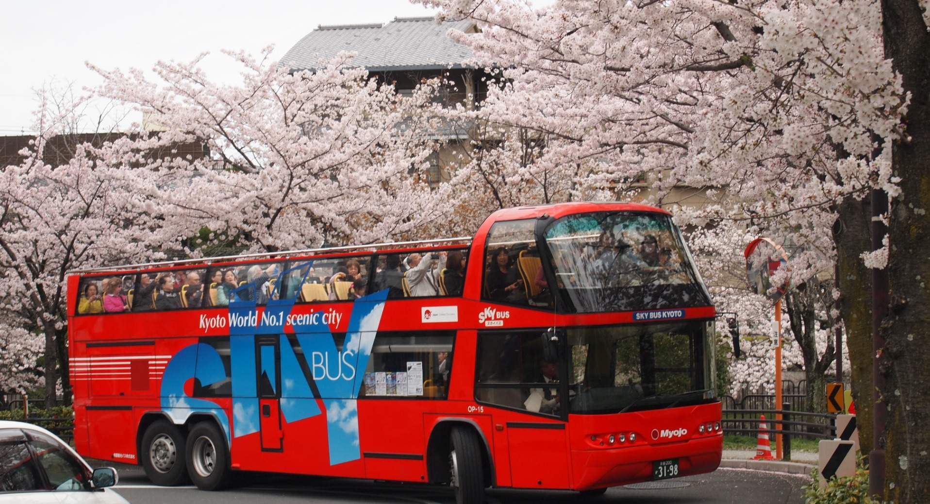 Kyoto Sky Hop Bus hop-on hop-off bus ticket (1-day / 2-day)