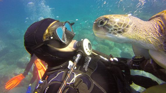 Costa AdejeTours