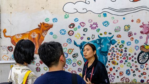 Singapore Chinatown, Little India, and Tekka Market Half-Day Tour