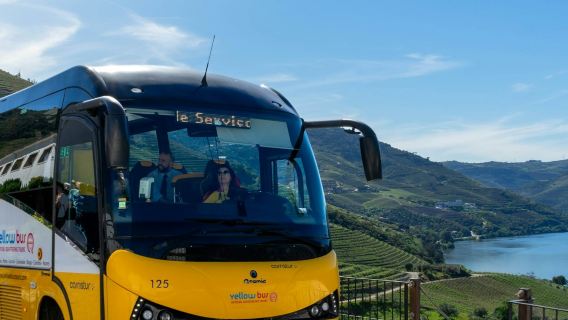 Douro Valley, Amarante & Régua: ทริปวันเดียว + ล่องเรือในแม่น้ำและชิมไวน์