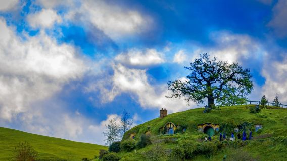紐西蘭皇后鎮來回瓦納卡鎮+箭鎮+水果小鎮一日遊+中文包車