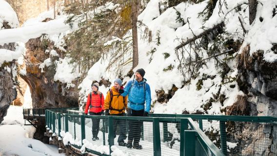 Johnston Canyon Icewalk from Banff