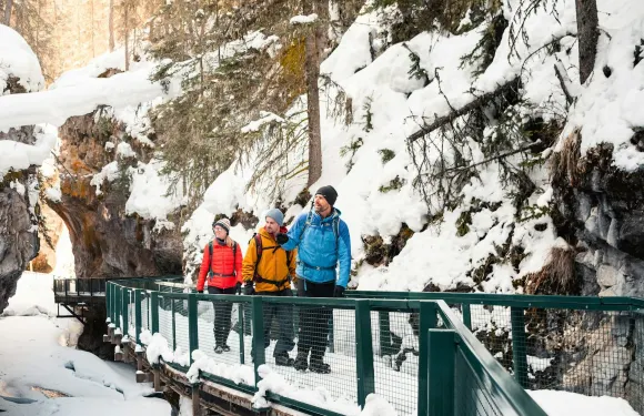 班夫出發的強斯頓峽谷冰上漫步