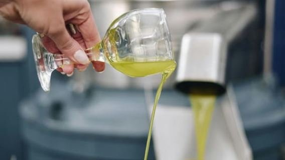 Visit a Family-Run Olive Mill with Food Tasting in Heraklion