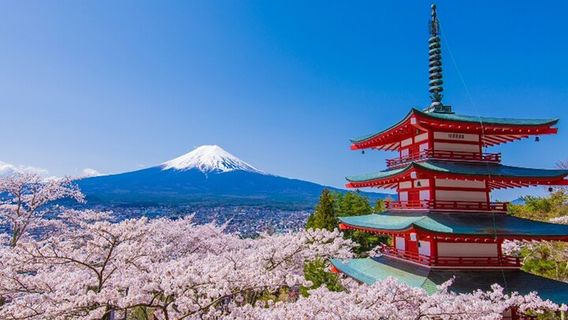 TokyoTours
