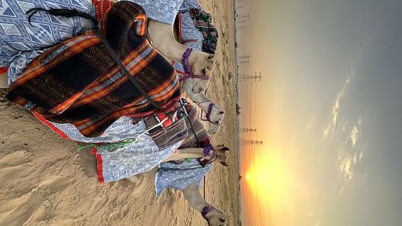 DubaiTours