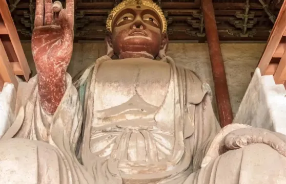 【稷山新絳】大佛寺+宋金墓+青龍寺+福聖寺+龍興寺+絳州署衙