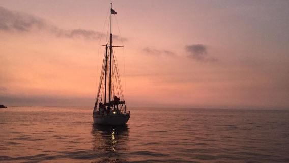From Salalah Cruise: Sunset Dhow Cruise